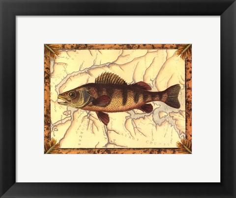 Framed Yellow Perch on Map Print