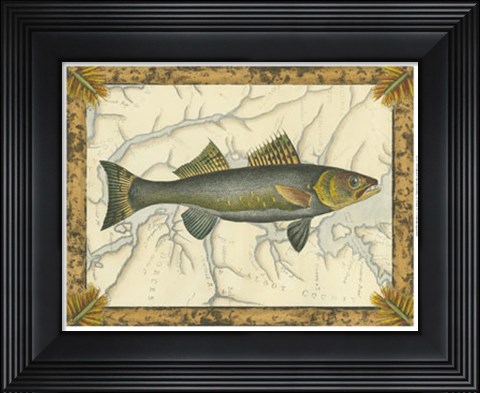 Framed Walleye on Map Print