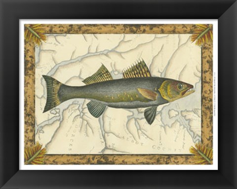 Framed Walleye on Map Print
