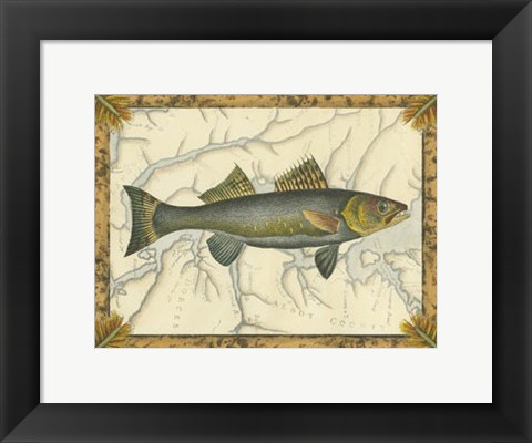 Framed Walleye on Map Print