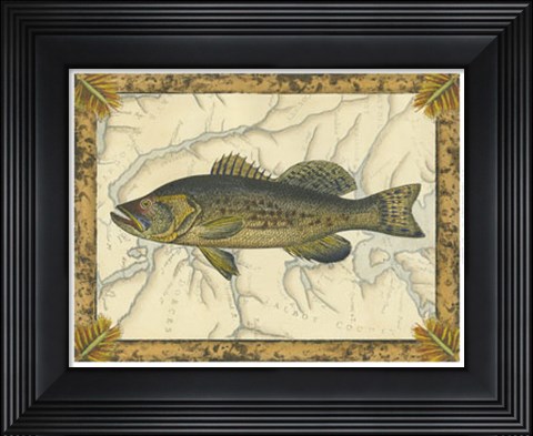 Framed Black Bass on Map Print