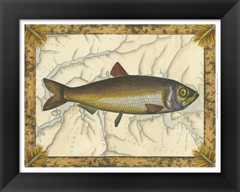 Framed Herring on Map Print