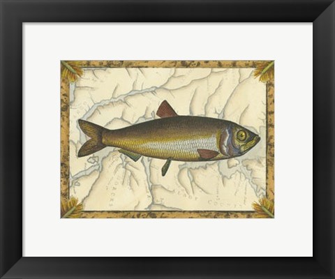 Framed Herring on Map Print