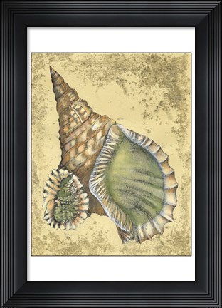 Framed Sand and Shells I Print