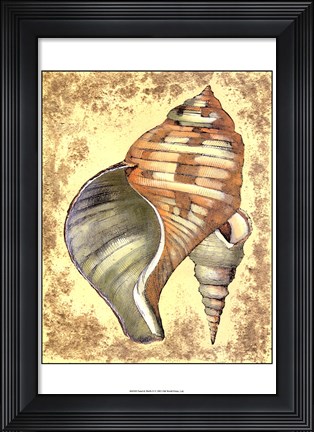 Framed Sand and Shells II Print