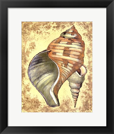 Framed Sand and Shells II Print