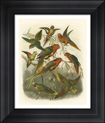 Framed Red Cassel Birds I Print