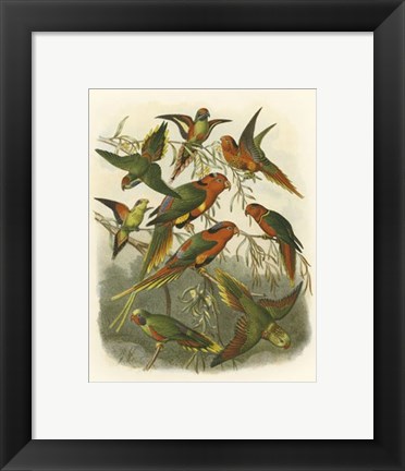 Framed Red Cassel Birds I Print