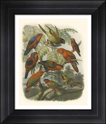 Framed Red Cassel Birds II Print