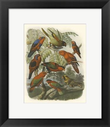 Framed Red Cassel Birds II Print