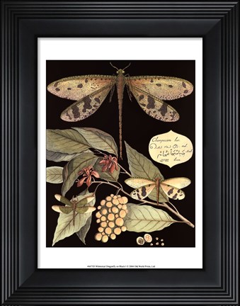 Framed Whimsical Dragonfly on Black I Print