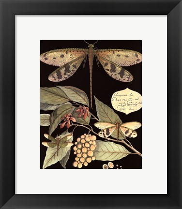 Framed Whimsical Dragonfly on Black I Print