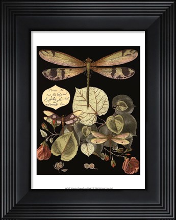 Framed Whimsical Dragonfly on Black II Print