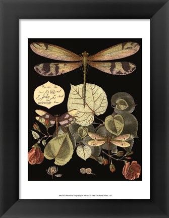 Framed Whimsical Dragonfly on Black II Print