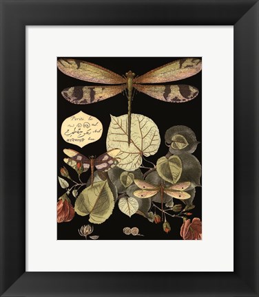 Framed Whimsical Dragonfly on Black II Print