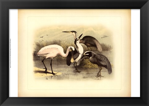 Framed Egret &amp; Heron Print