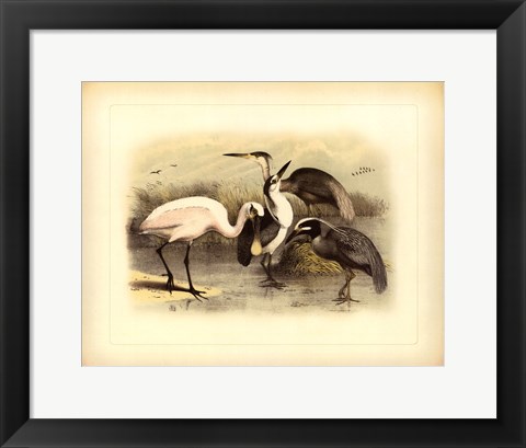 Framed Egret &amp; Heron Print