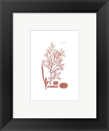 Framed Shades of Coral I Print