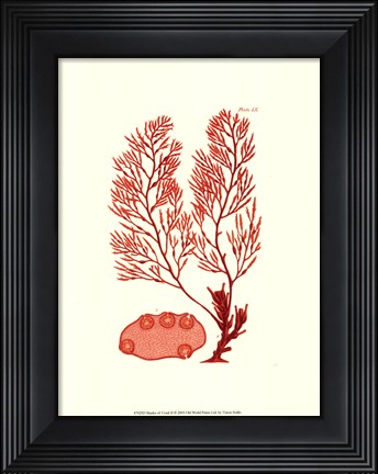 Framed Shades of Coral II Print