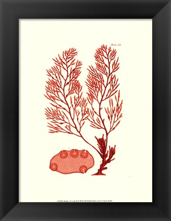 Framed Shades of Coral II Print