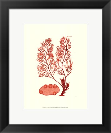 Framed Shades of Coral II Print