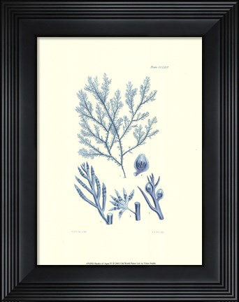 Framed Shades of Aqua IV Print