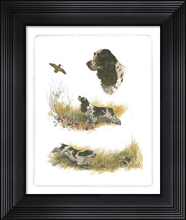 Framed Cocker Spaniel Print