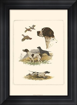 Framed Pointer Print