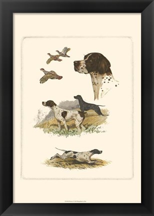 Framed Pointer Print