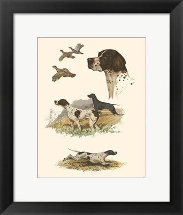 Framed Pointer Print