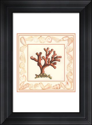 Framed Coral with Shell Border I Print