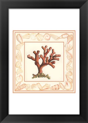 Framed Coral with Shell Border I Print