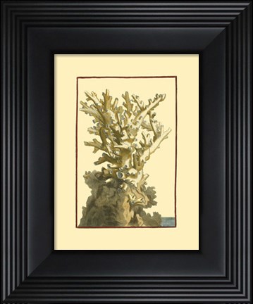 Framed Coral by the Sea I Print