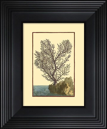Framed Coral by the Sea II Print