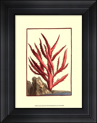 Framed Coral by the Sea III Print