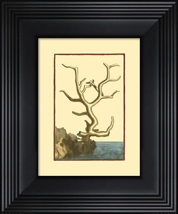 Framed Coral by the Sea VI Print