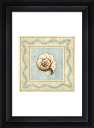 Framed Shell Collector II Print