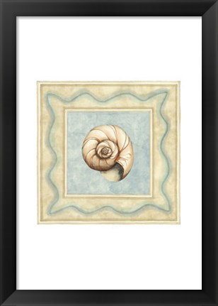 Framed Shell Collector II Print