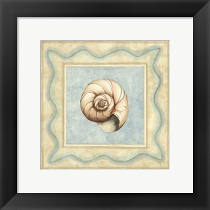 Framed Shell Collector II Print