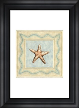 Framed Shell Collector III Print