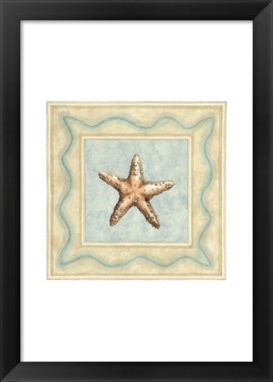 Framed Shell Collector III Print
