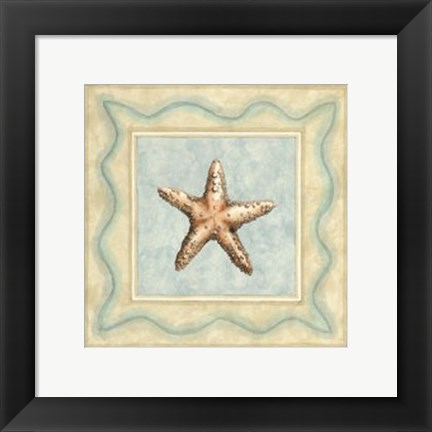 Framed Shell Collector III Print