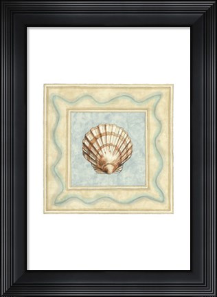 Framed Shell Collector IV Print