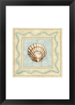 Framed Shell Collector IV Print