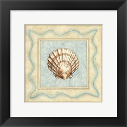 Framed Shell Collector IV Print
