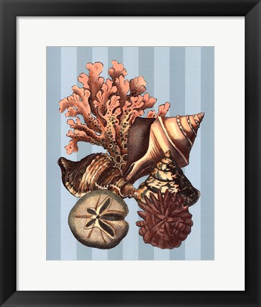 Framed Shell and Coral on Aqua I Print