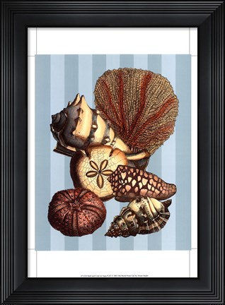 Framed Shell and Coral on Aqua II Print