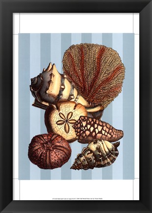 Framed Shell and Coral on Aqua II Print