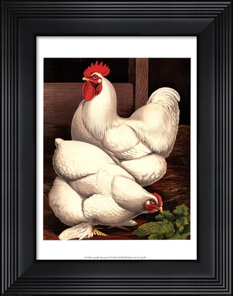 Framed Cassell&#39;s Roosters I Print