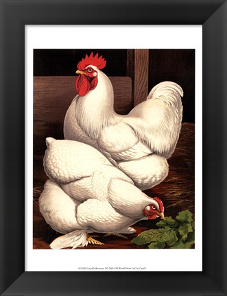 Framed Cassell&#39;s Roosters I Print